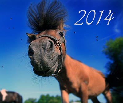 Год лошади 2014
