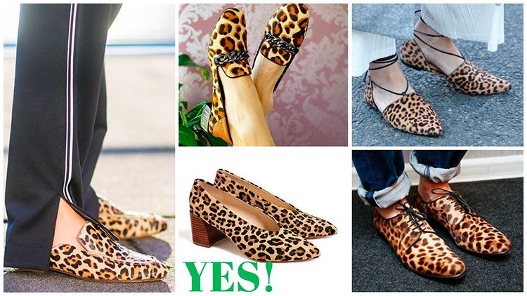 Леопардове взуття: актуальні моделі