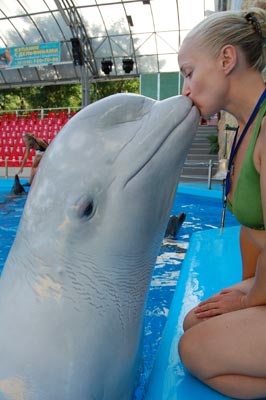 Поцелуи дельфина